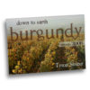 Down to earth: Burgundy Vintage 2006